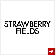 STRAWBERRY-FIELDS