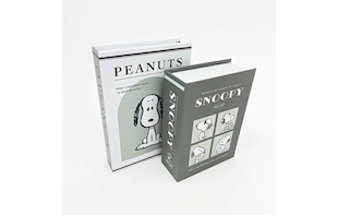 スヌーピーのブック型ボックスが可愛すぎ。飾れる収納って最強かも。