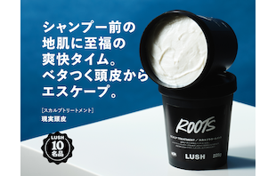 現実頭皮