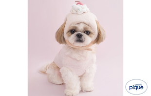 【CAT&DOG】秋の新着アイテム