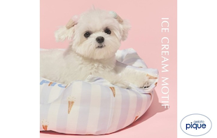 【GELATO PIQUE CAT & DOG】SUMMER MOTIF COOLING series