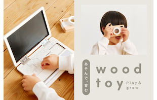 あそんで育むwood toy