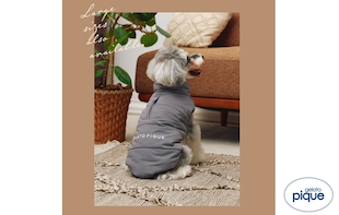 ＼RECOMMEND／GELATO PIQUE CAT & DOG Padded Vest
