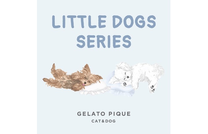 CAT&DOG】マルチーズ柄ブランケット｜ジェラートピケの通販｜&mall