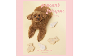 ＼GELATO PIQUE CAT & DOG／LATEX TOY