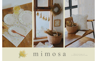 mimosa～お部屋に春の訪れ～