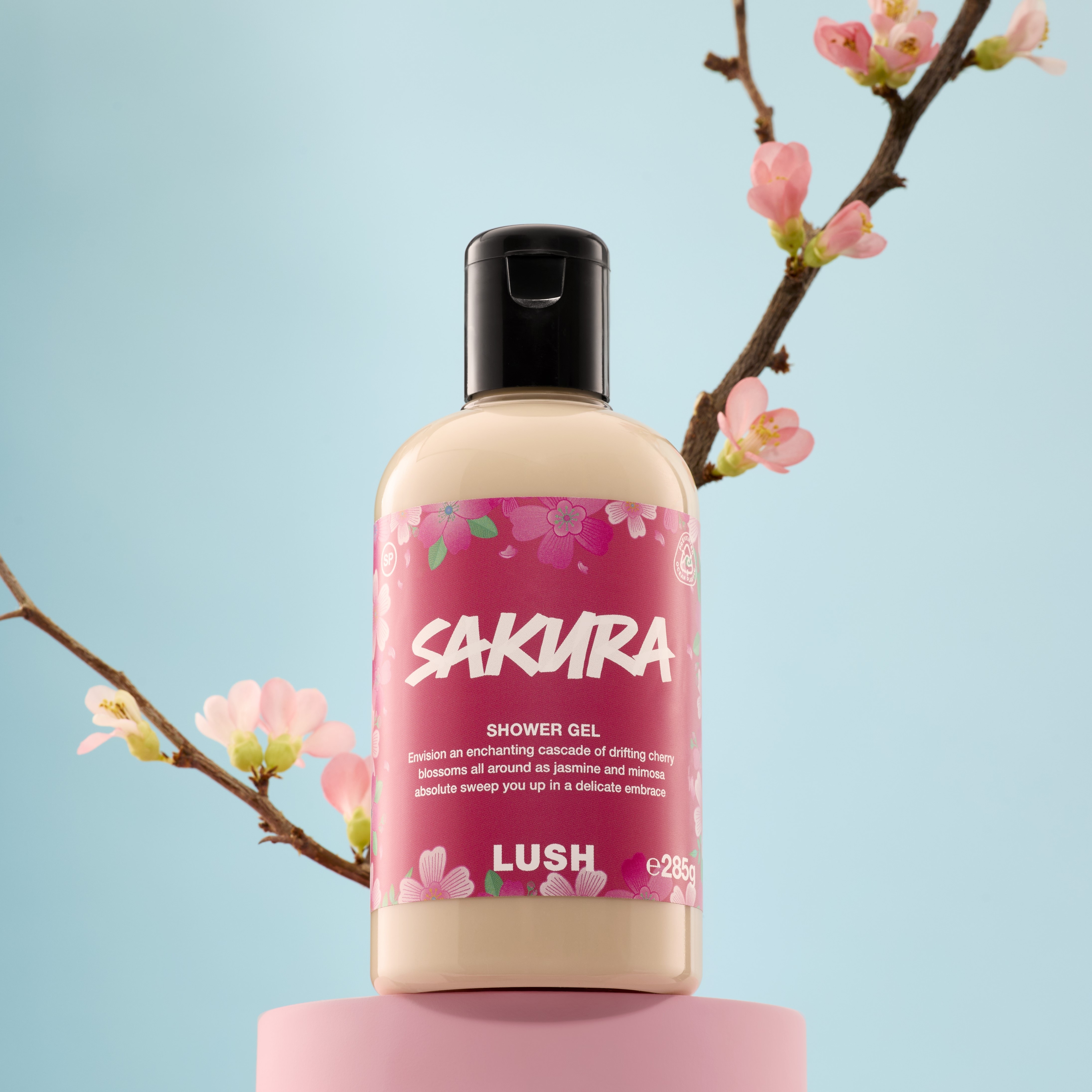 新商品情報】春の訪れを祝う桜の贈り物、サクラコレクションが登場