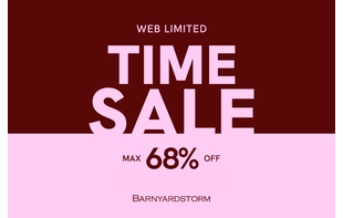 【MAX68%OFF】WEB限定タイムセール！！