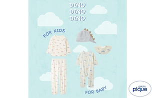 DINOSAUR & COLORFUL BORDER COLLECTION