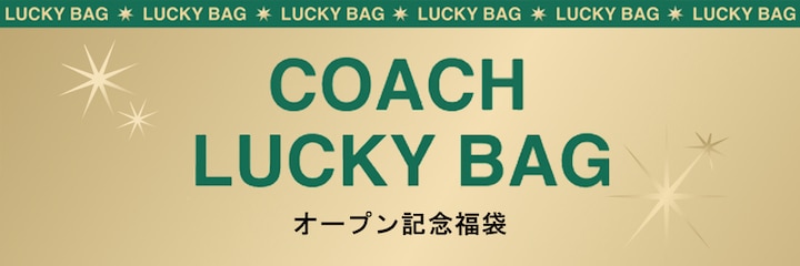 COACH LUCKY BAG