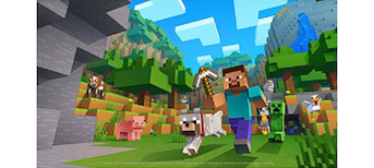 EVERYTHING MINECRAFT