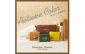 AUTUMN COLOR ITEMS