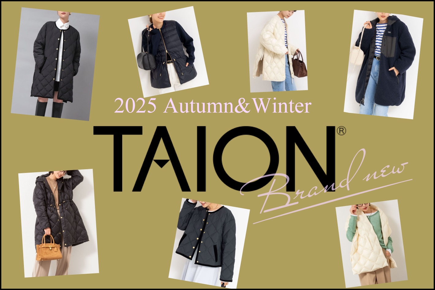 NOLLEY'S】今年のTAIONはリニューアルしてデザイン豊富に