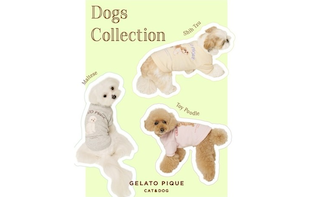 ＼GELATO PIQUE CAT & DOG／Dog Collection