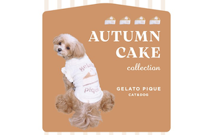 【CAT＆DOG】AUTUMN CAKE COLLECTION