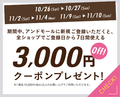 3,000円offクーポンプレゼント