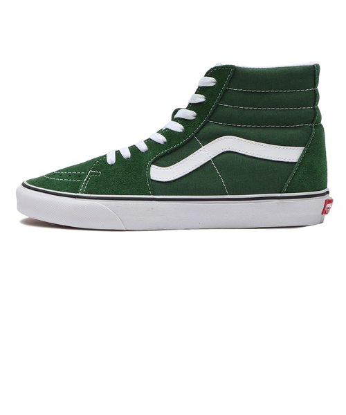 VN0005U96QU　SK8-HI　GREENER PAST　636429-0001