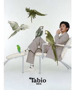 【Tabio MEN】Tabio chic アーガイルレギュラーソックス