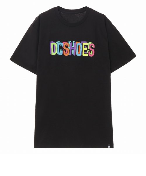 【DC ディーシー公式通販】ディーシー （DC SHOES）COLOR BLOCKS SS Tシャツ 半袖 プリント