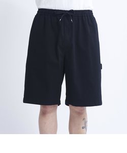 【DC ディーシー公式通販】ディーシー （DC SHOES）23 SUPER WIDE PAINTER SHORT