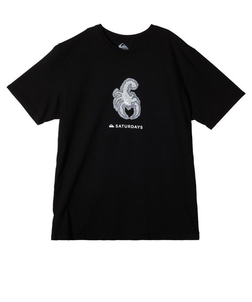 【QUIKSILVER クイックシルバー 公式通販】クイックシルバー （QUIKSILVER）SNYC SS GRAPHIC TEE Tシャツ