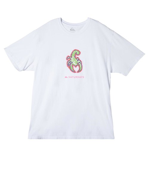 【QUIKSILVER クイックシルバー 公式通販】クイックシルバー （QUIKSILVER）SNYC SS GRAPHIC TEE Tシャツ