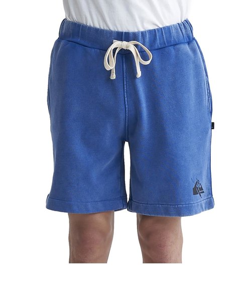 【QUIKSILVER クイックシルバー 公式通販】クイックシルバー （QUIKSILVER）DNA LOGO SHORTS   ショートパンツ