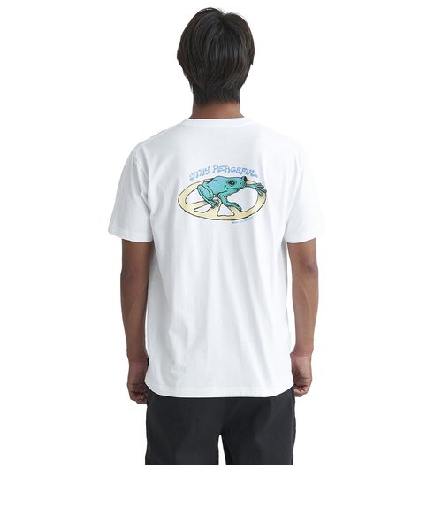 【QUIKSILVER クイックシルバー 公式通販】クイックシルバー （QUIKSILVER）STAY PEACEFUL ST  Tシャツ