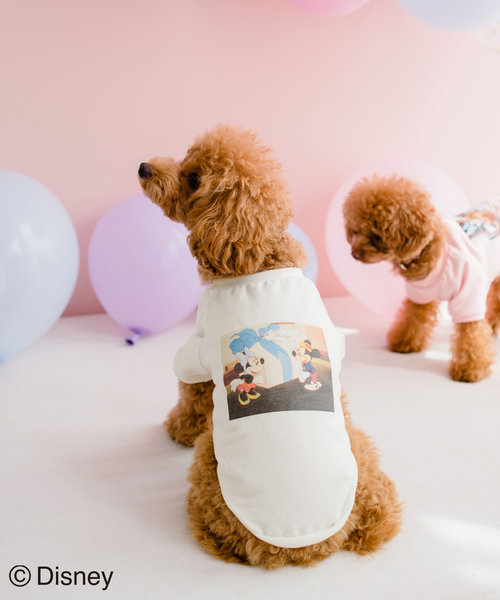 【DOG】【DISNEY /ディズニー】バースデイーフォトTシャツ