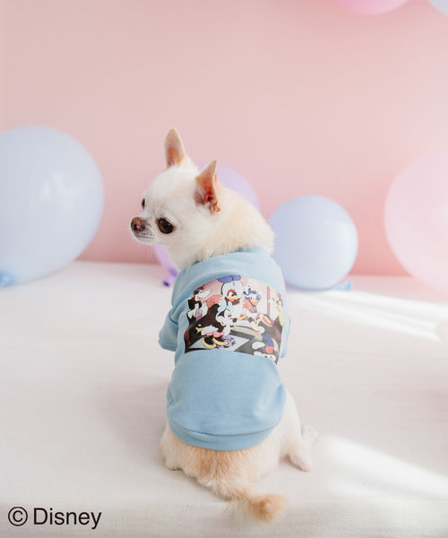 【DOG】【DISNEY /ディズニー】バースデイーフォトTシャツ