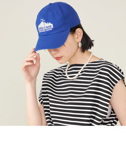 SHIPS NINE CASE:NY DIARY CAP