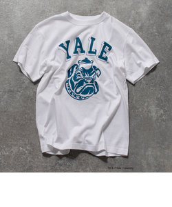 YALE / UCLA 別注 カレッジロゴ ビッグシルエット Tシャツ