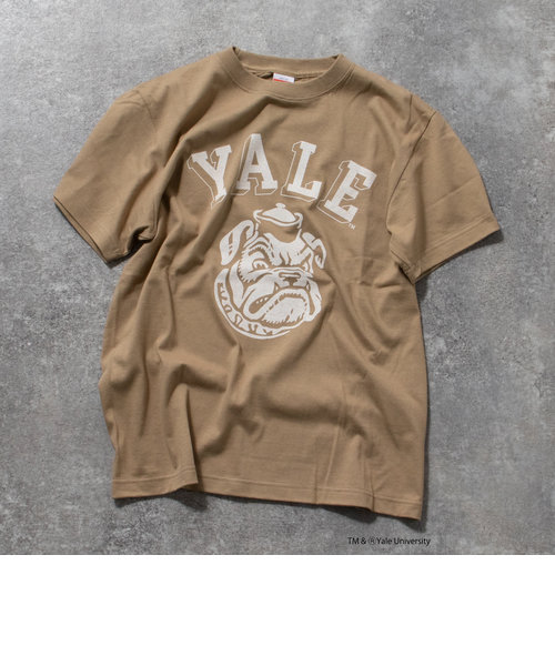 YALE / UCLA 別注 カレッジロゴ ビッグシルエット Tシャツ