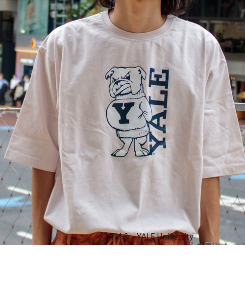 YALE/イェール】別注プリントTシャツ VINTAGE DYEING カレッジロゴ ...