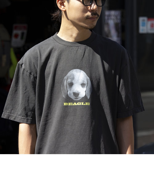 【新柄追加】【GLOSTER/グロスター】DOG&CAT 犬猫プリント ピグメント プリントTシャツ