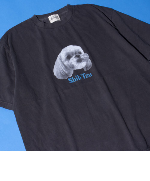 【新柄追加】【GLOSTER/グロスター】DOG&CAT 犬猫プリント ピグメント プリントTシャツ