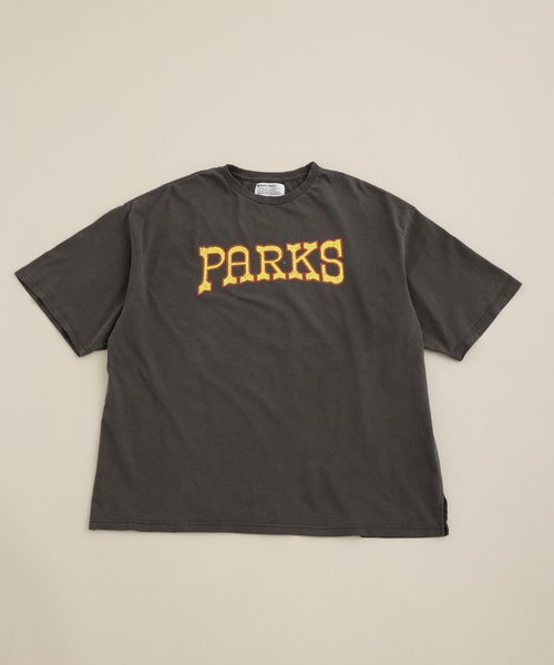 ＡＬＬ　ＮＡＴＩＯＮＡＬ　ＰＡＲＫＳ　ＴＥＥ