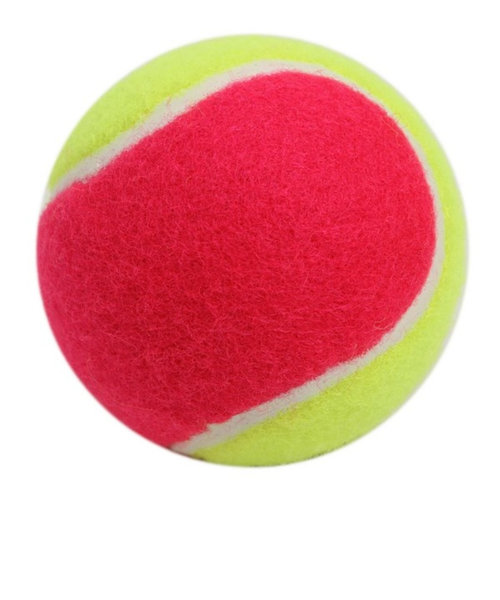 エックス チームスポーツ（X-TEAM SP）硬式テニスボール ノンプレッシャーボール 1個 738XTT14KJPB/PK ピンク