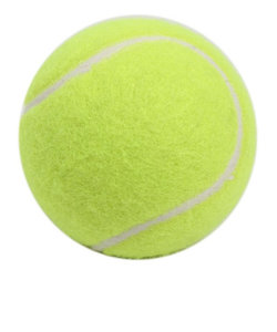 エックス チームスポーツ（X-TEAM SP）硬式テニスボール ノンプレッシャーボール 1個 738XTT14KJPB/YE イエロー