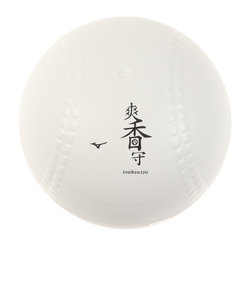 ミズノ（MIZUNO）野球 メンテナンス用品 手入れ 爽香守ボール型ケース入りお手入れセット 1GJYG56700 1P