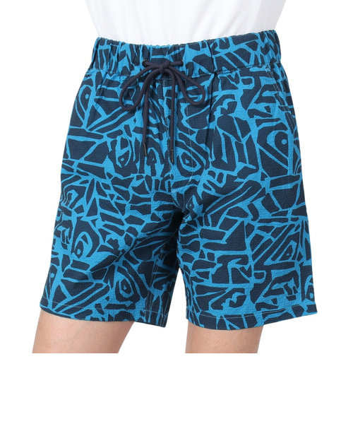 クイックシルバー（Quiksilver）M&W PATTERN パンツ 22SUQWS222002NVY