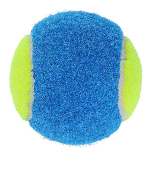 その他ブランド（OTHER BRAND）硬式用テニスボール ノンプレッシャーテニスボール 738NN3ZK0092 BL×YL