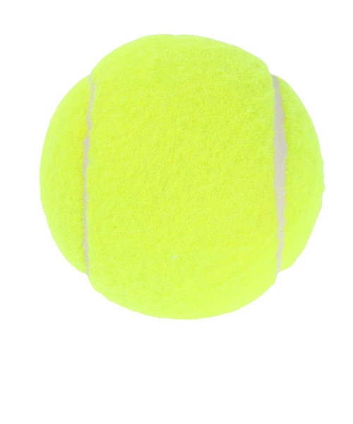 その他ブランド（OTHER BRAND）硬式用テニスボール ノンプレッシャー 