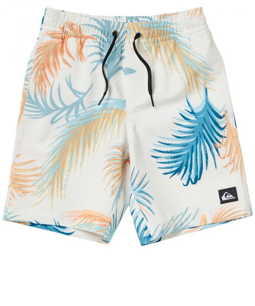 クイックシルバー（Quiksilver）ジュニア 水着 海水パンツ ボード 