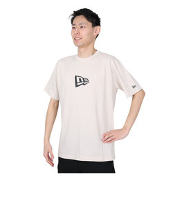 ニューエラ（NEW ERA）ショートスリーブ CT Tシャツ FLAG ロゴ 14121900