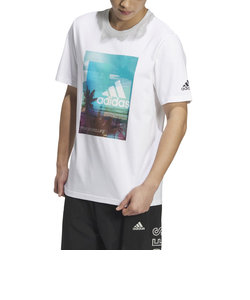 アディダス（adidas）PALM TREE 半袖Tシャツ KUE39-IT0902