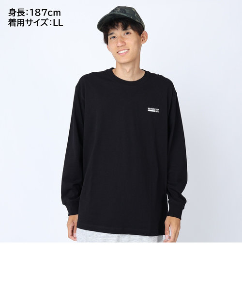 ノースフェイス（THE NORTH FACE）長袖Tシャツ ロンT ロングスリーブ