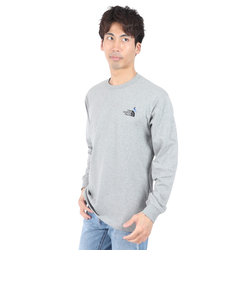 ノースフェイス（THE NORTH FACE）長袖Tシャツ ロンT ロングスリーブズーピッカーティー NT32440 Z