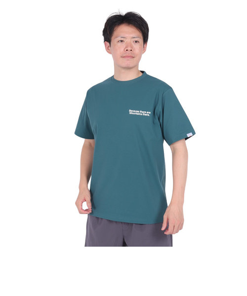 半袖Tシャツ ワイハイカー ショートスリーブ ティー RE24SUK5610008 GRN