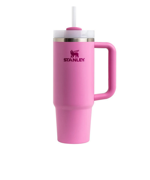 スタンレー（STANLEY）水筒 ボトル マグ H2.0 真空スリムクエンチャー 0.88L 10-10827-544